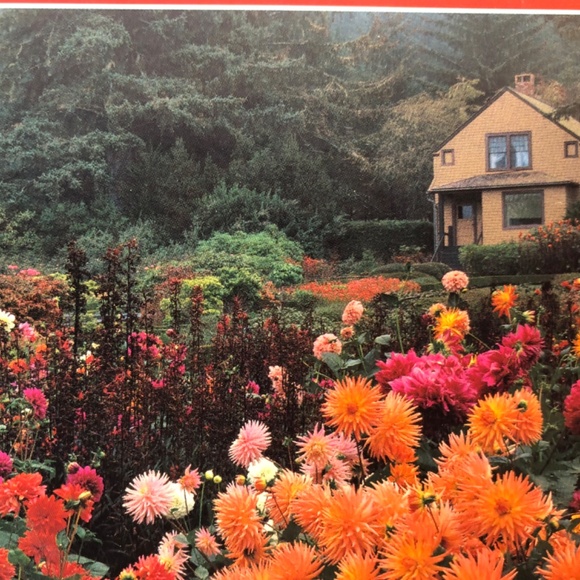 1000 Piece Jigsaw Puzzle "ACRES STATE PARK - Picture 2 of 5